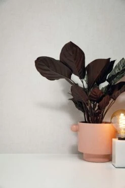 KEK Amsterdam Hotel Chique Behang - Berlin