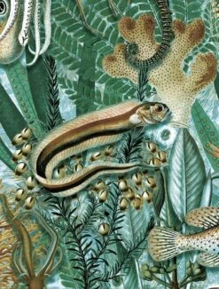 KEK Amsterdam Underwater Jungle Fotobehang WP-688 - 194,8 X 280 Cm -Woondecoratie Winkel kek amsterdam underwater jungle fotobehang wp 688 1